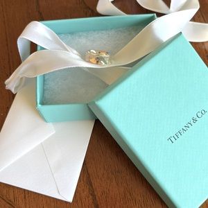 Tiffany & Co. Sterling Silver 1837 MD Width Ring